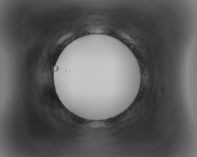 X0000083071446200703022146