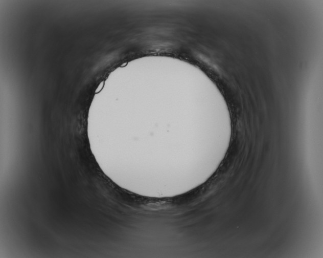 X0000083071447200703022146