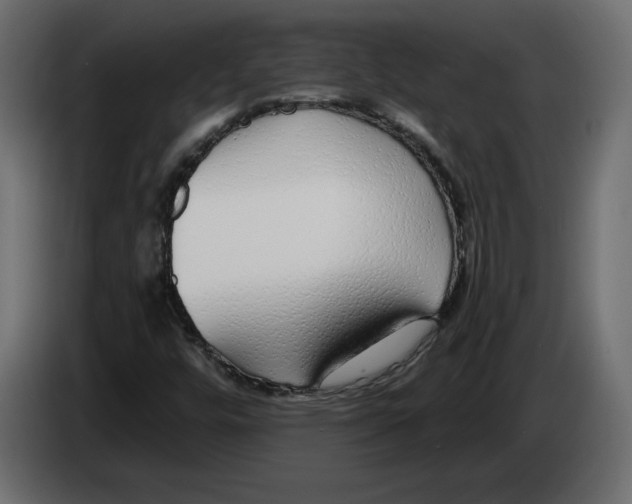 X0000083071448200703022146