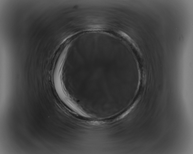 X0000083071449200703022146
