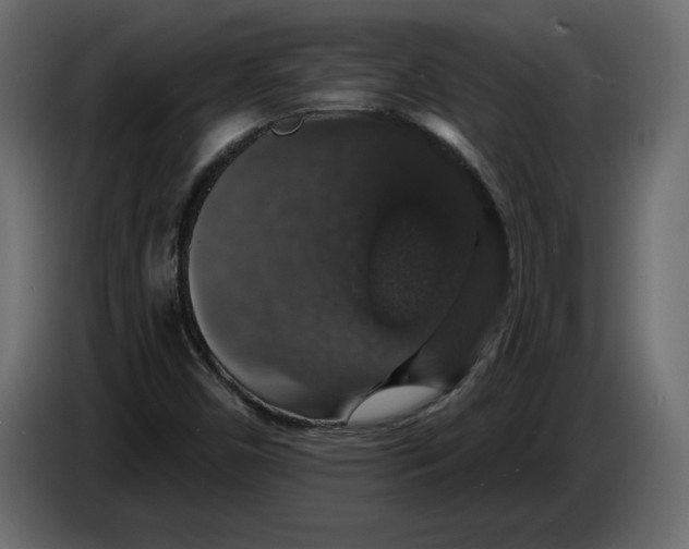 X0000083071450200703022146