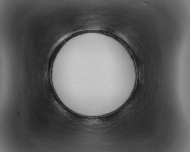 X0000083071452200703022146