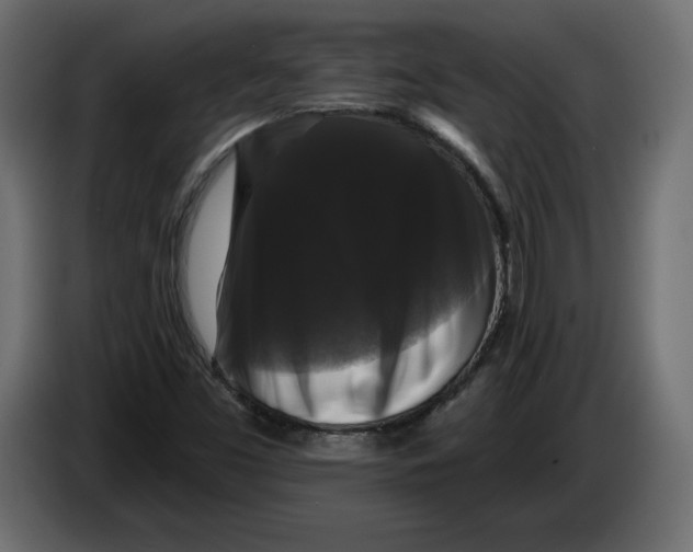 X0000083071453200703022146