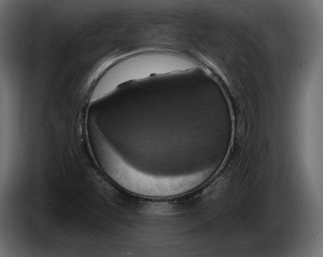 X0000083071455200703022146