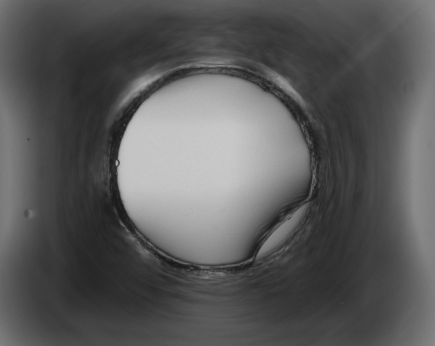 X0000083071456200703022146