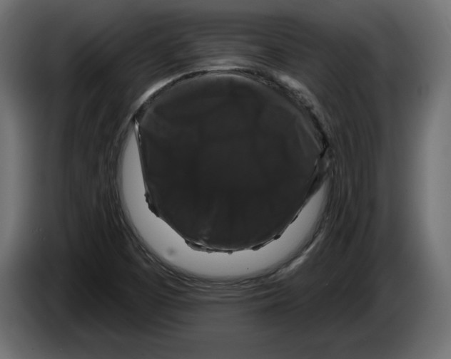X0000083071457200703022146