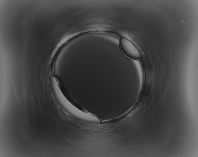 X0000083071459200703022146