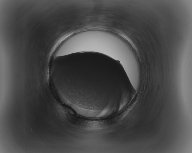 X0000083071461200703022146