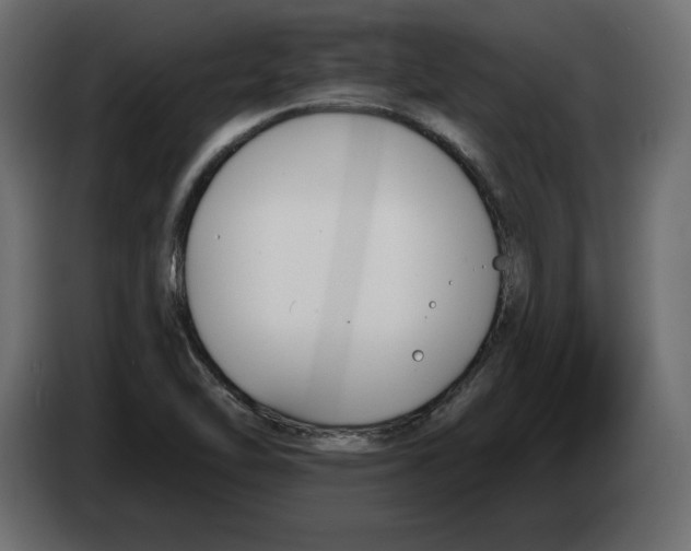 X0000083071462200703022146