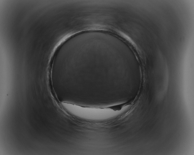 X0000083071463200703022146