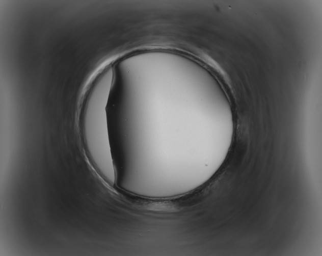 X0000083071464200703022146