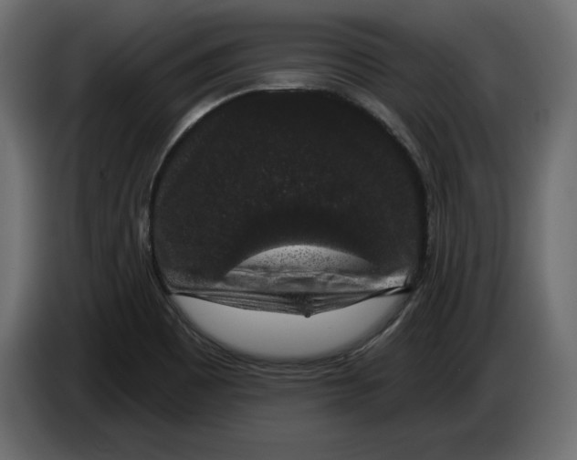 X0000083071465200703022146