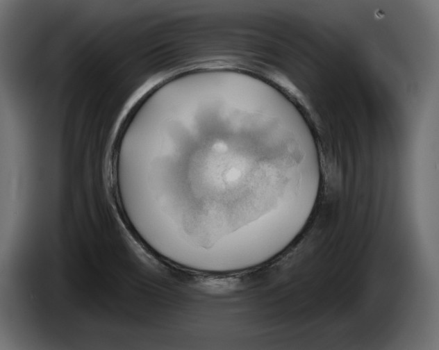 X0000083071466200703022146