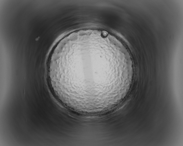 X0000083071467200703022146