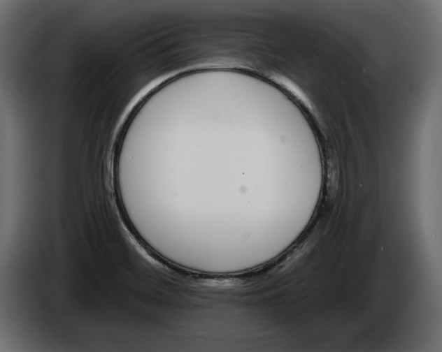 X0000083071468200703022146