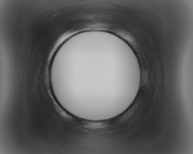 X0000083071470200703022146