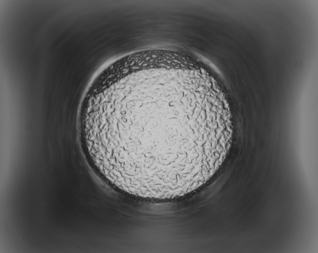 X0000083071471200703022146