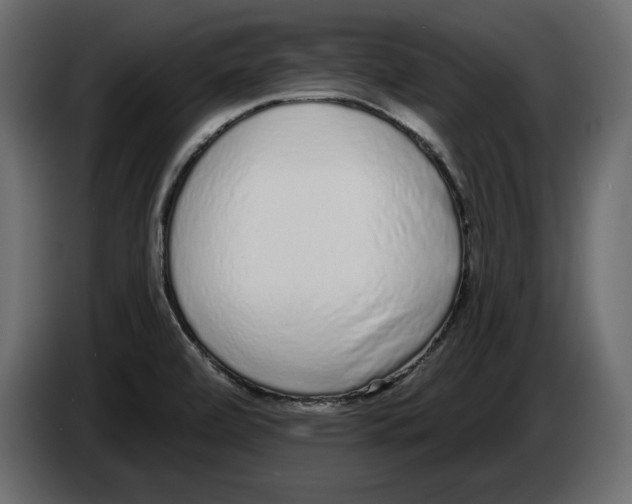 X0000083071472200703022146
