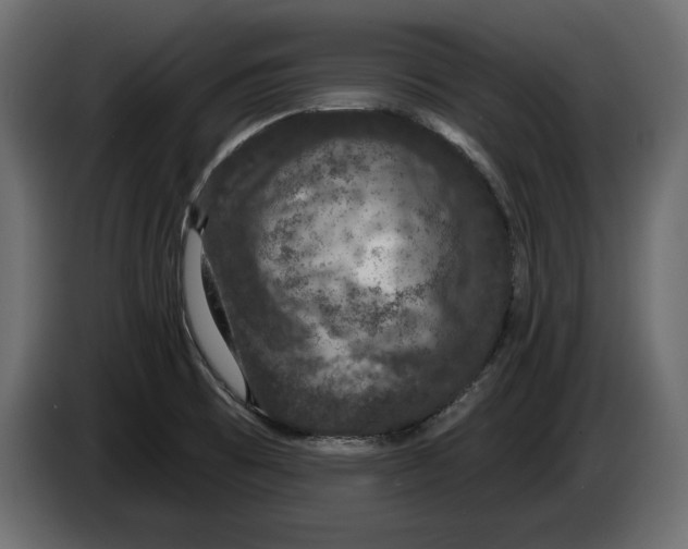 X0000083071473200703022146
