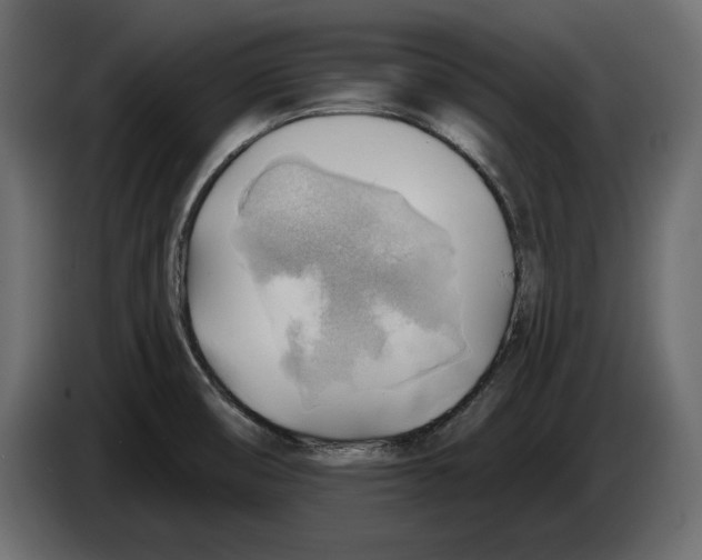 X0000083071474200703022146