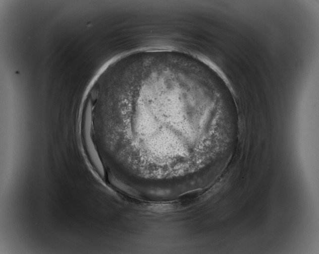 X0000083071477200703022145