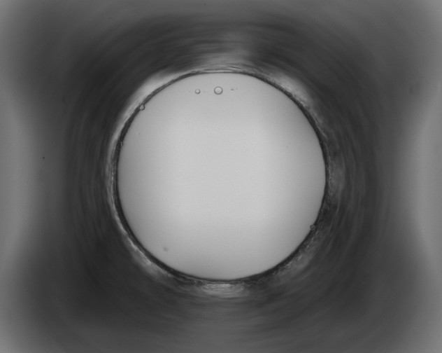 X0000083071478200703022145