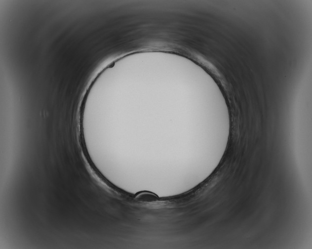 X0000083071479200703022145