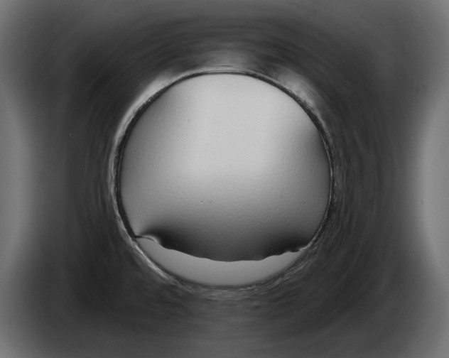 X0000083071480200703022145