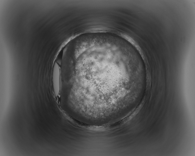 X0000083071481200703022145