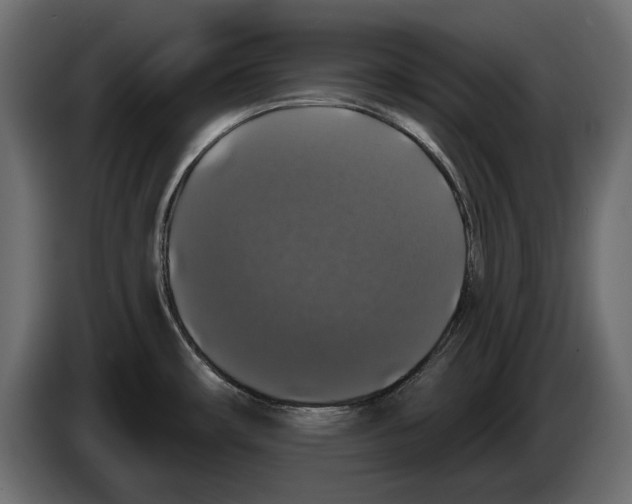 X0000083071482200703022145