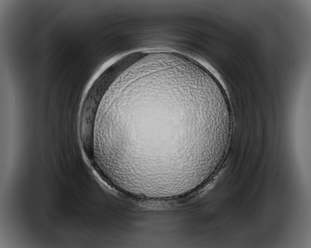X0000083071485200703022145