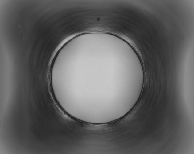 X0000083071486200703022145