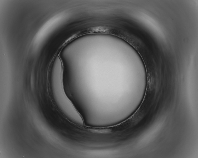 X0000083071487200703022145