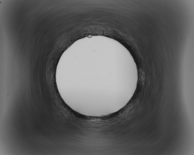 X0000083071489200703022145