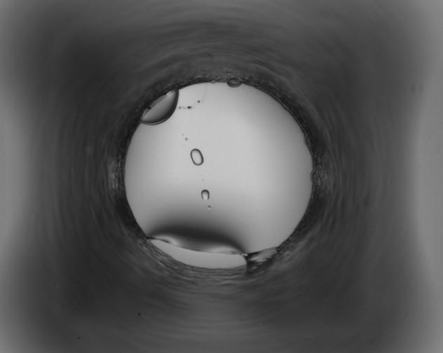 X0000083071490200703022145