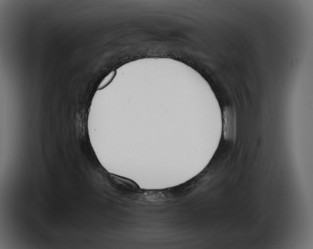 X0000083071491200703022145