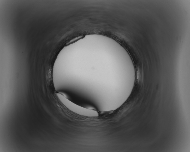 X0000083071492200703022145