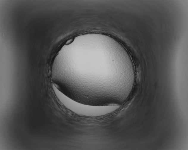 X0000083071494200703022145