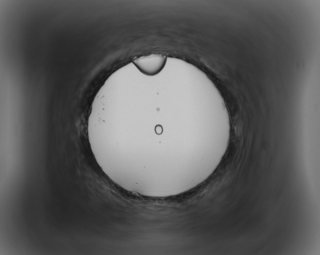 X0000083071495200703022145