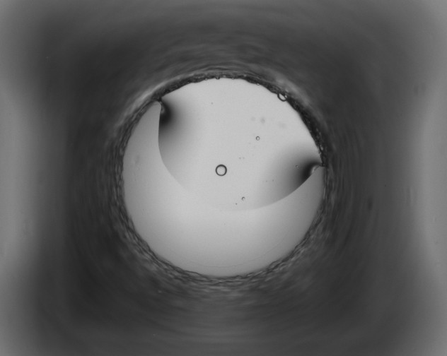 X0000083071496200703022145