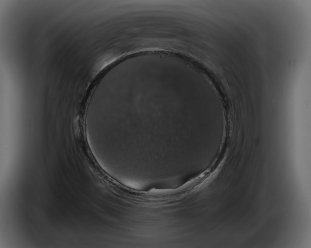 X0000083071497200703022145