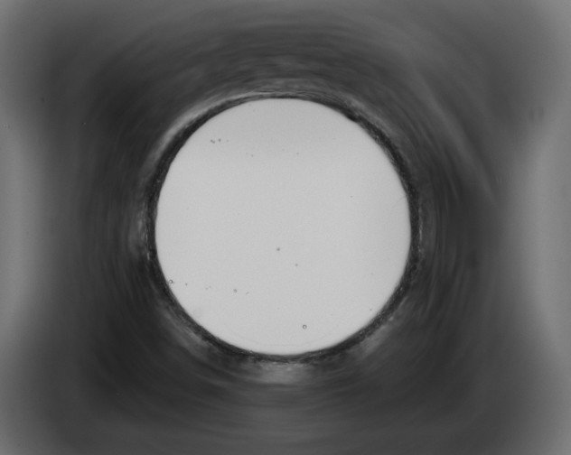 X0000083071498200703022145