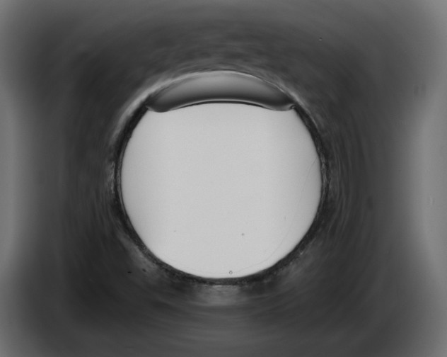 X0000083071503200703022145