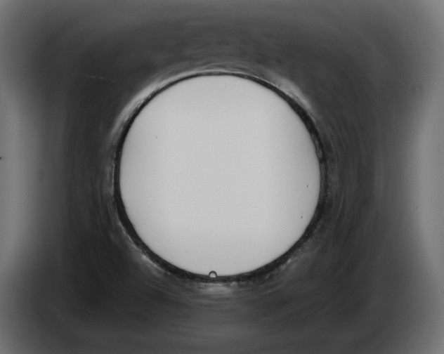 X0000083071504200703022145