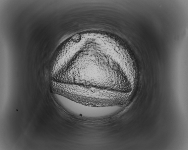 X0000083071505200703022145
