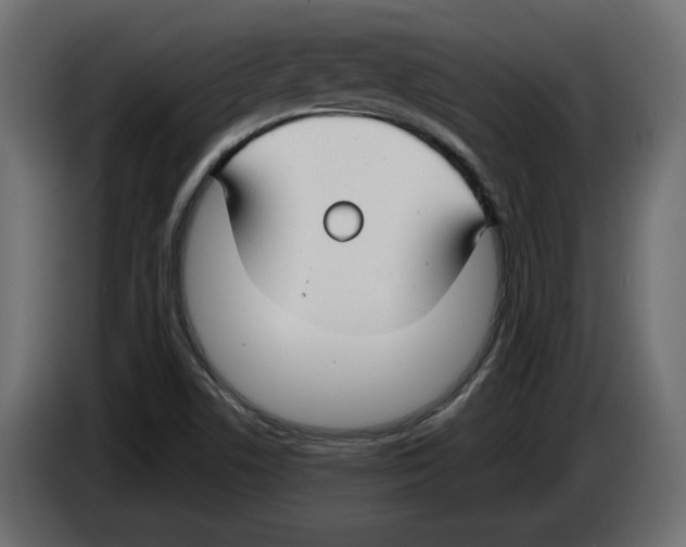 X0000083071506200703022145