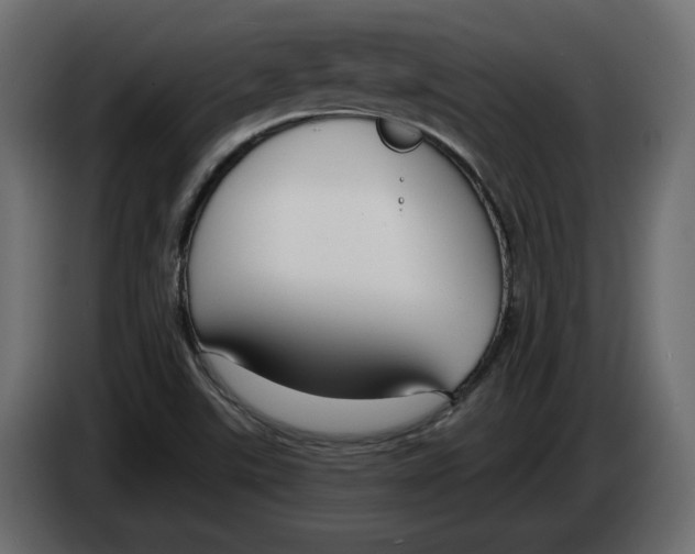 X0000083071507200703022145