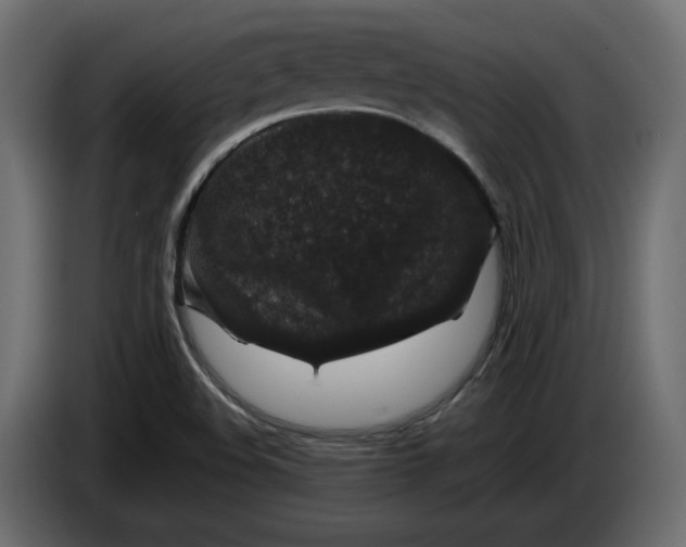 X0000083071508200703022145