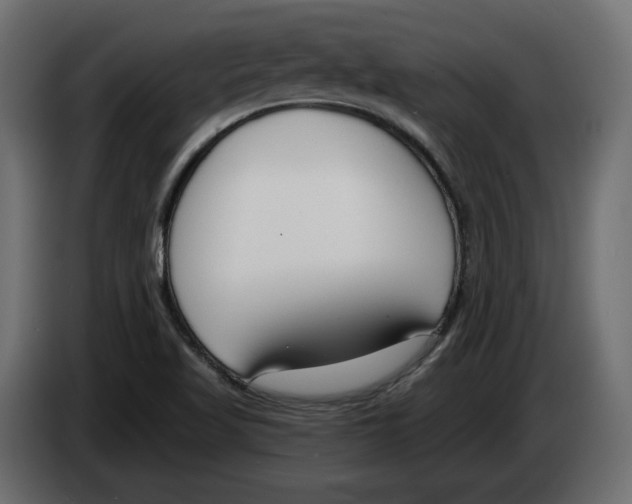 X0000083071509200703022145