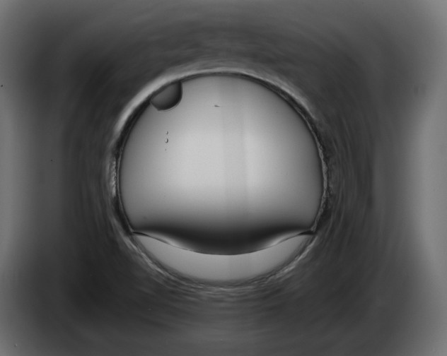 X0000083071510200703022145